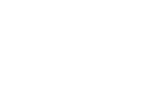 voice