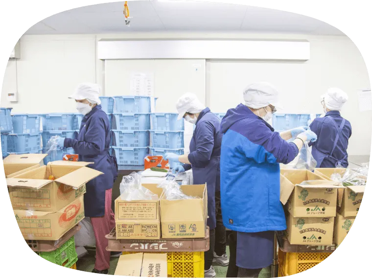 食材のご提供の様子